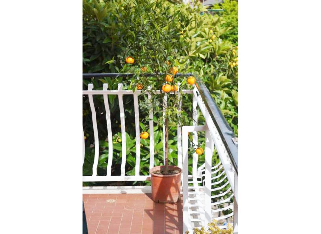 Casa Celeste โรม ภายนอก รูปภาพ