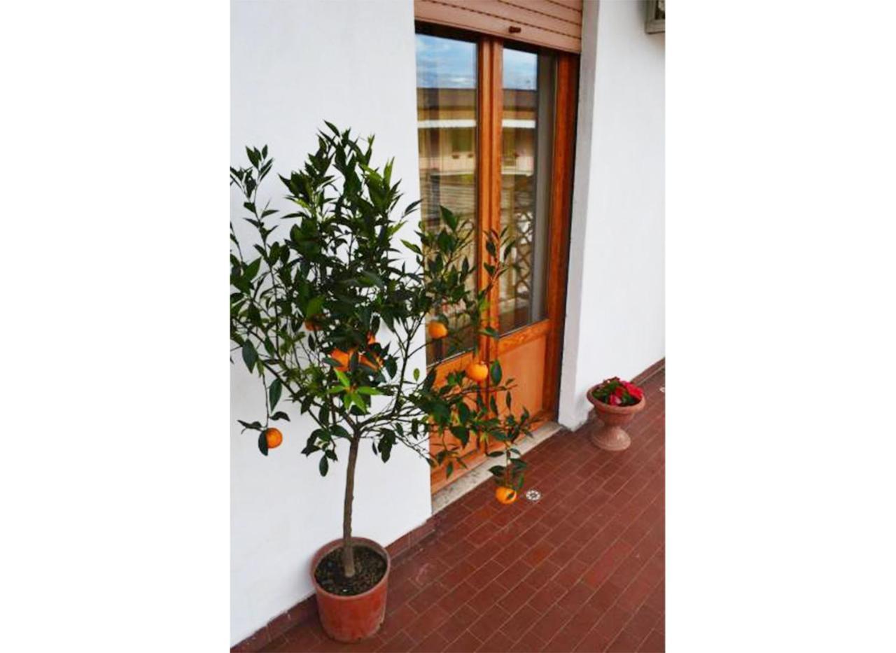 Casa Celeste โรม ภายนอก รูปภาพ
